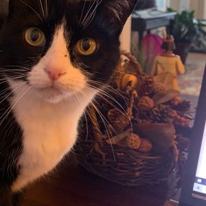 Meet your Posher, Posh